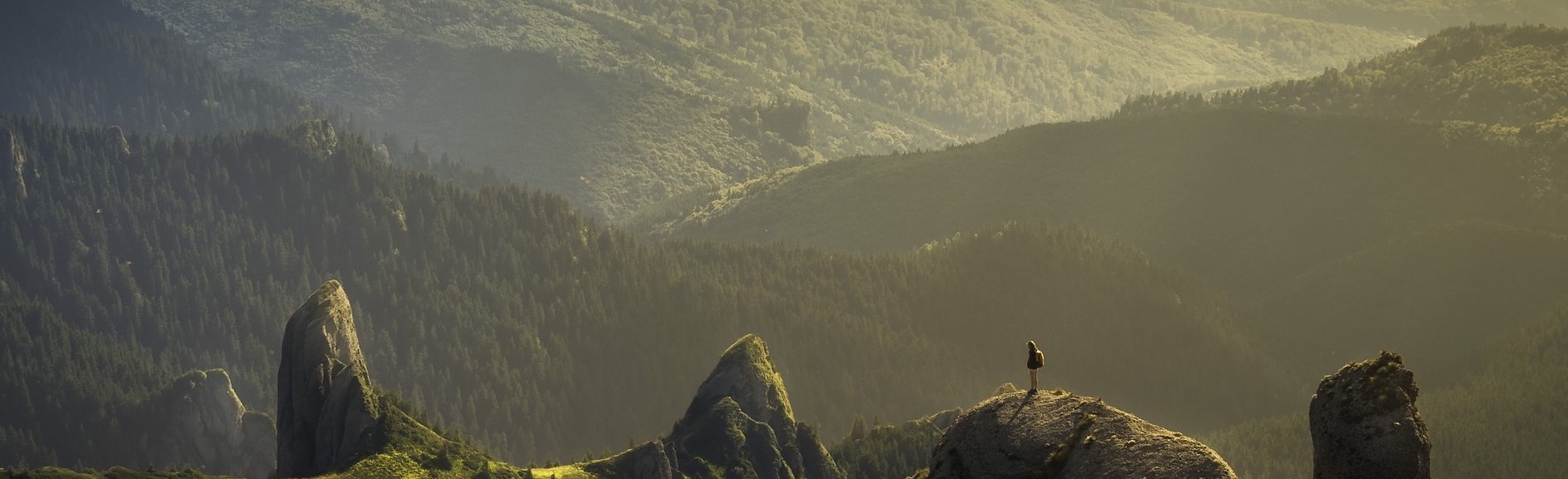 窓辺のつれづれ帳